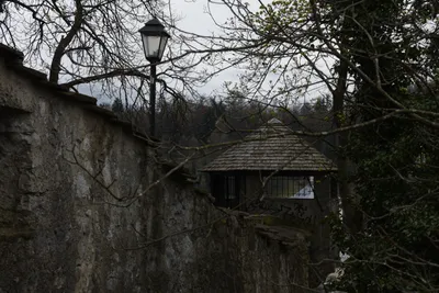 DSC_7050 (Large).JPG